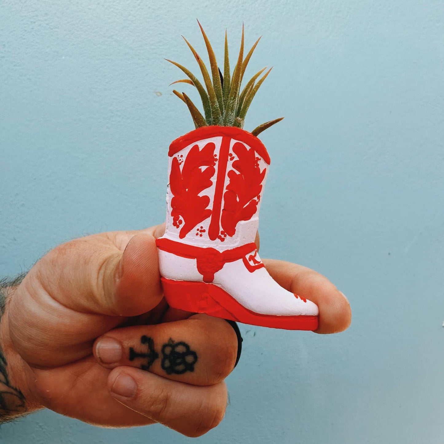 A cute, mini planter made for air plants - handmade with concrete & hand painted. Includes airplant. o'berrys succulents