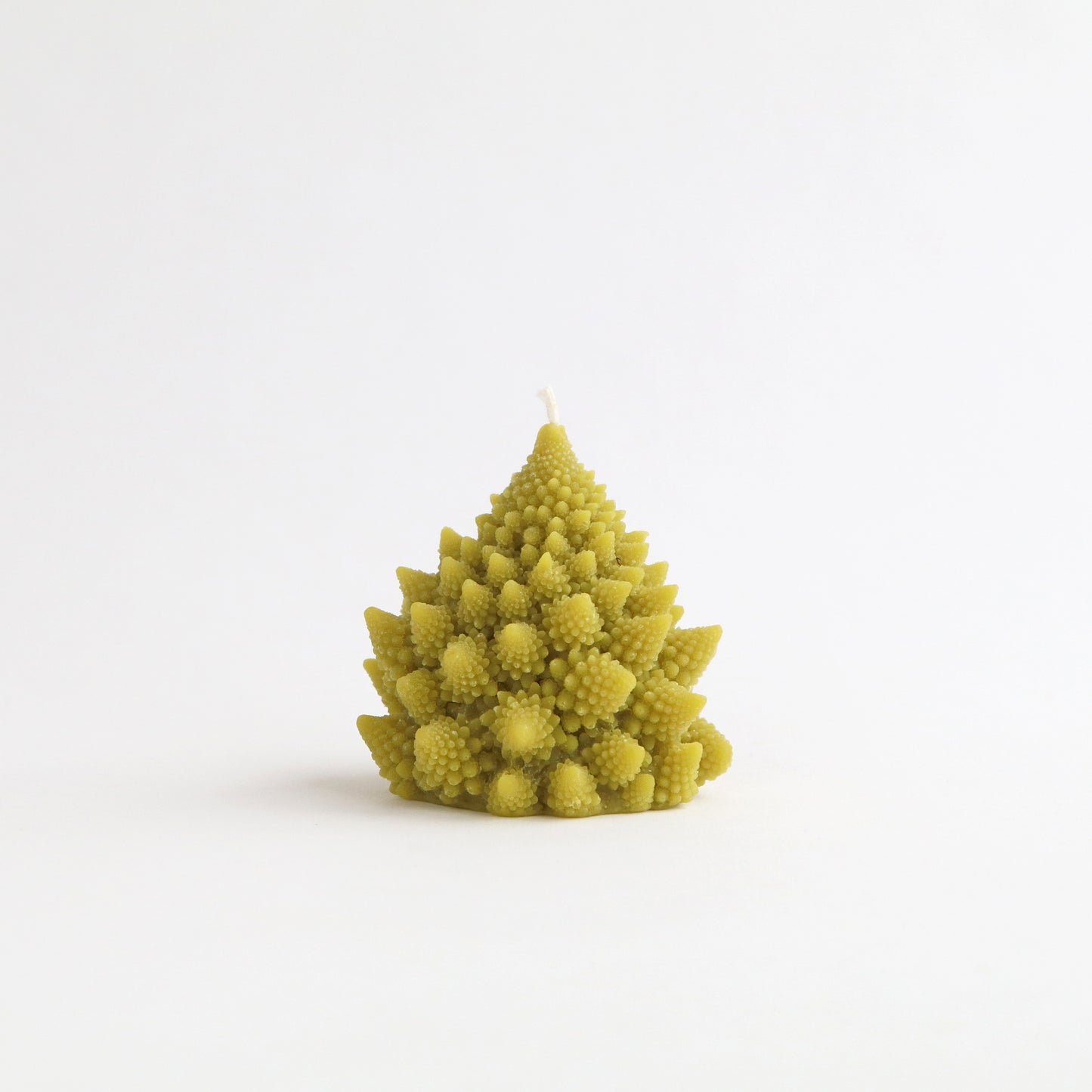 Beeswax Romanesco Candle