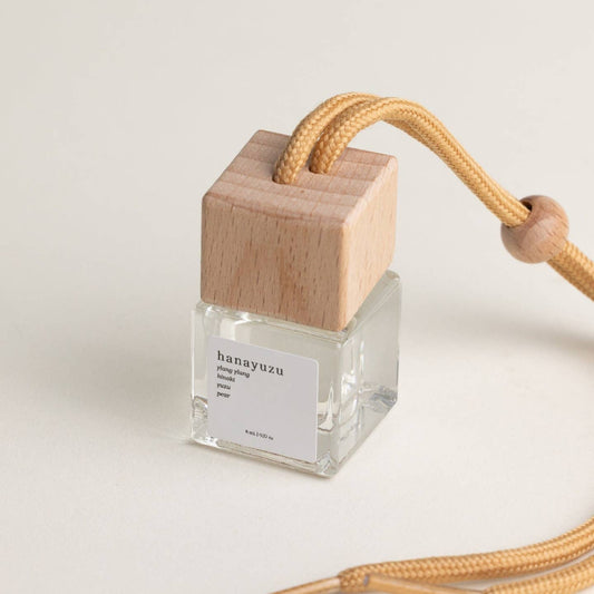 Hanging Oil Diffuser
