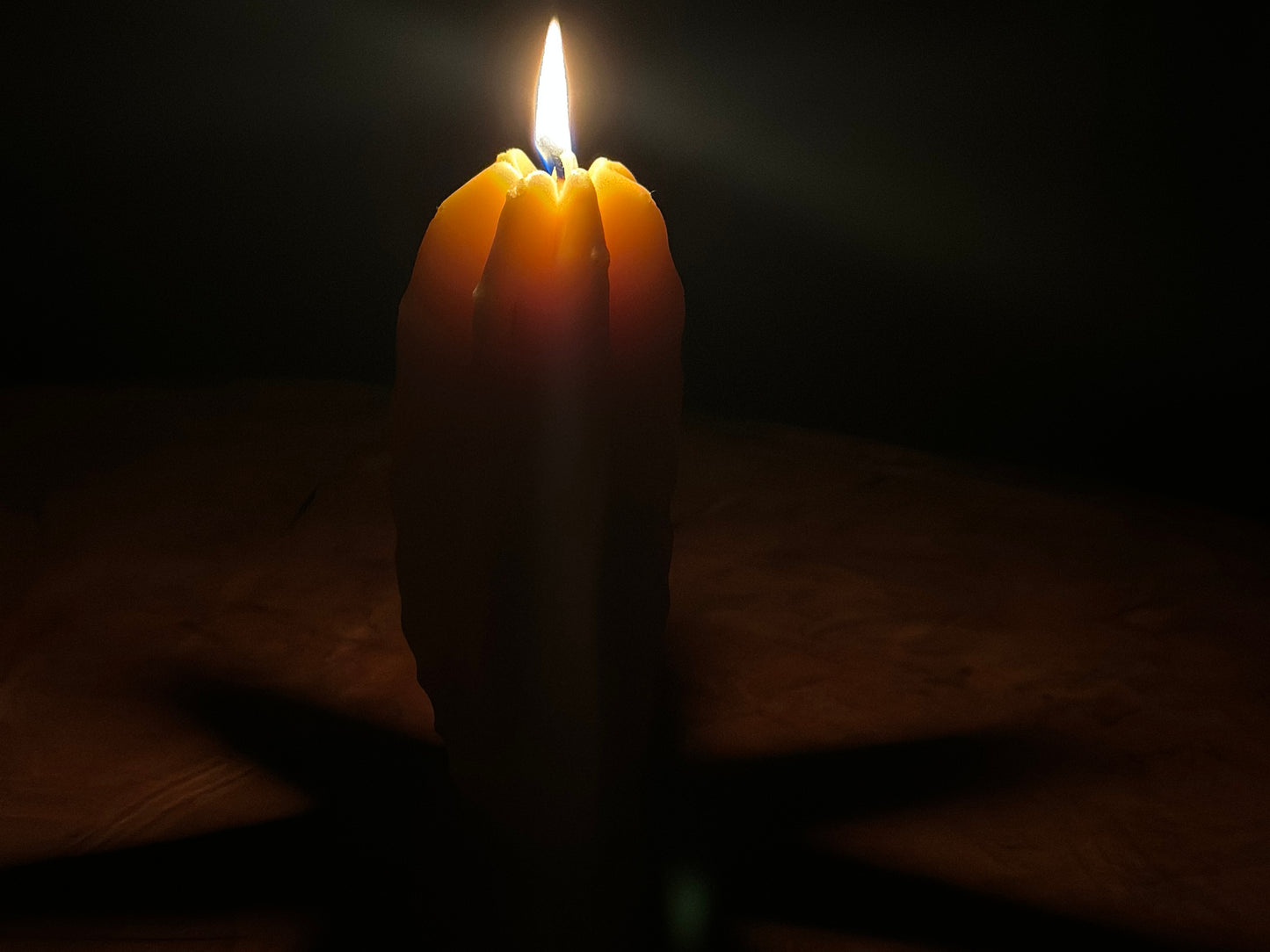 Beeswax Cactus Candle