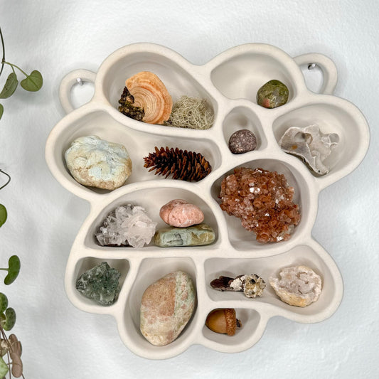 Hanging Treasure Cove No. 2