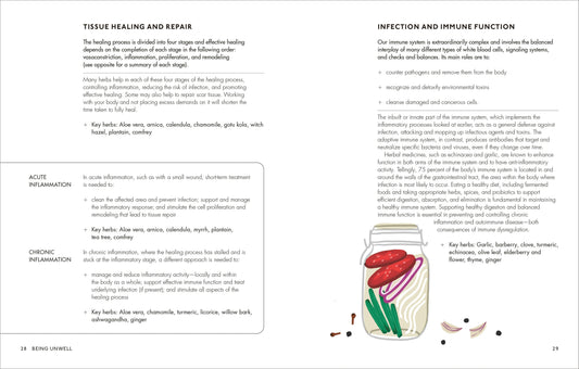 The Home Herbal: Restorative Herbal Remedies for the Mind, Body, and Soul