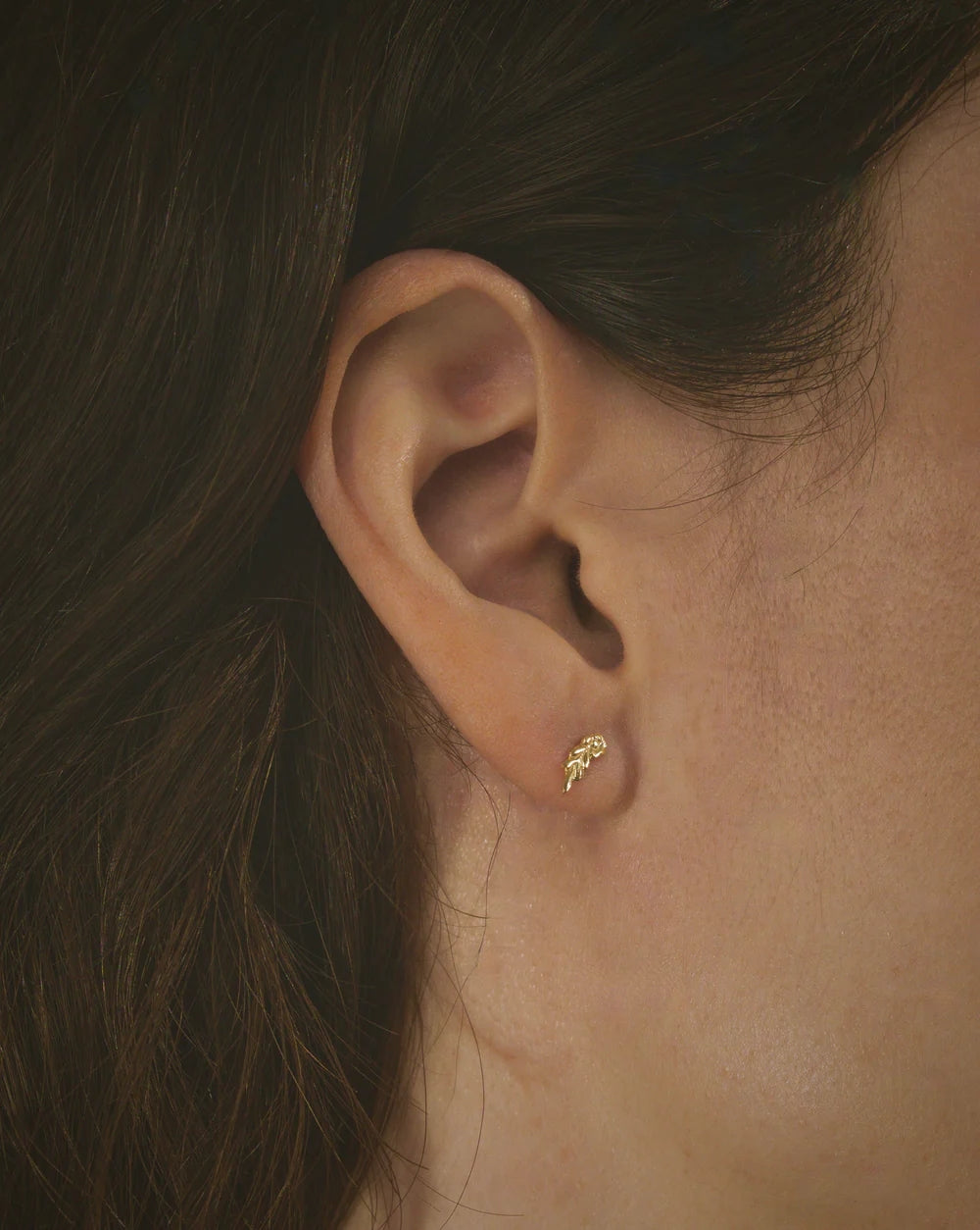 mountainside spring earrings