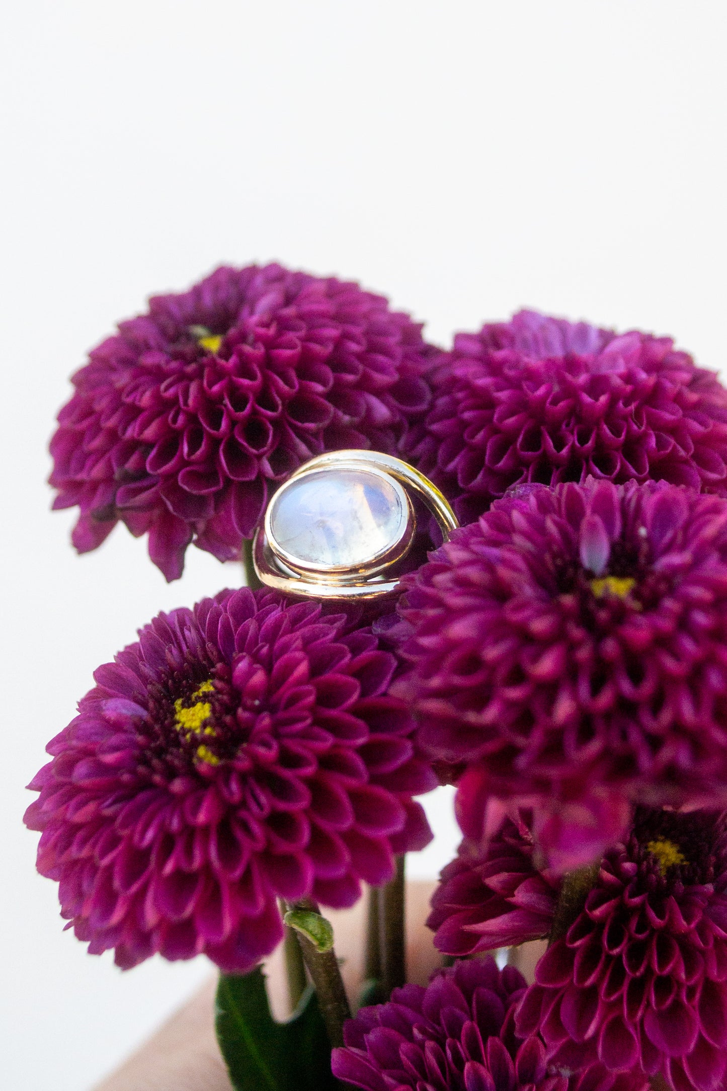 Vision Ring
