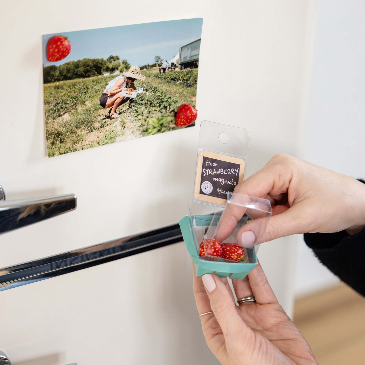 Fruit Basket Magnets