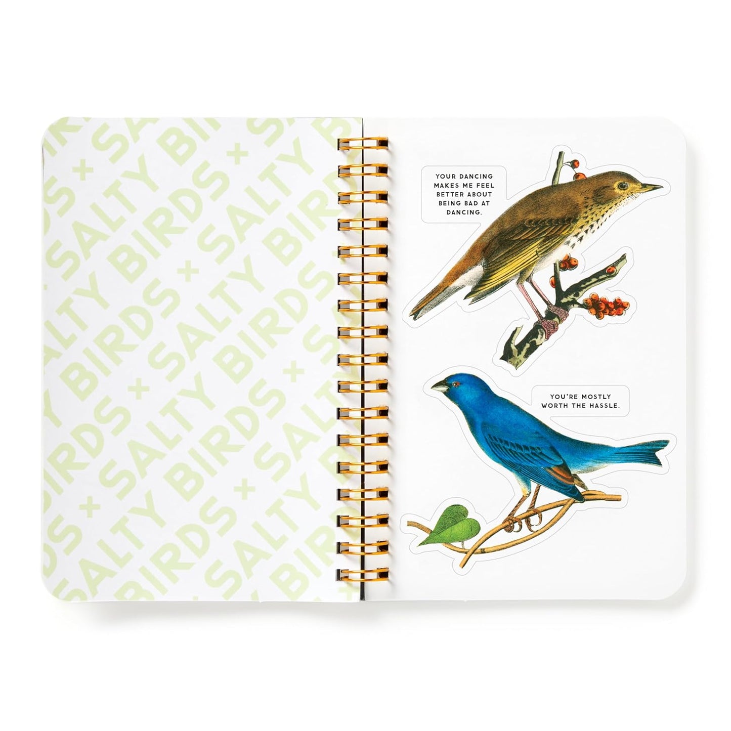 Salty Birds Googly Eye Sticker Book