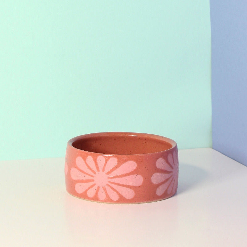 Wheel thrown stoneware bowls for your pets. Speckled Buff clay with matte and gloss glazes. Glazes are pet safe
