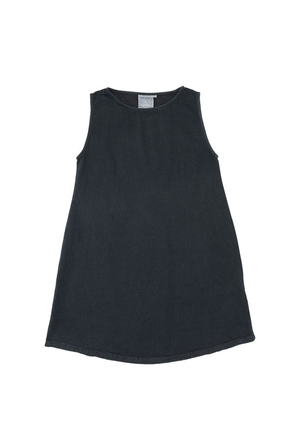 Baez Denim Dress