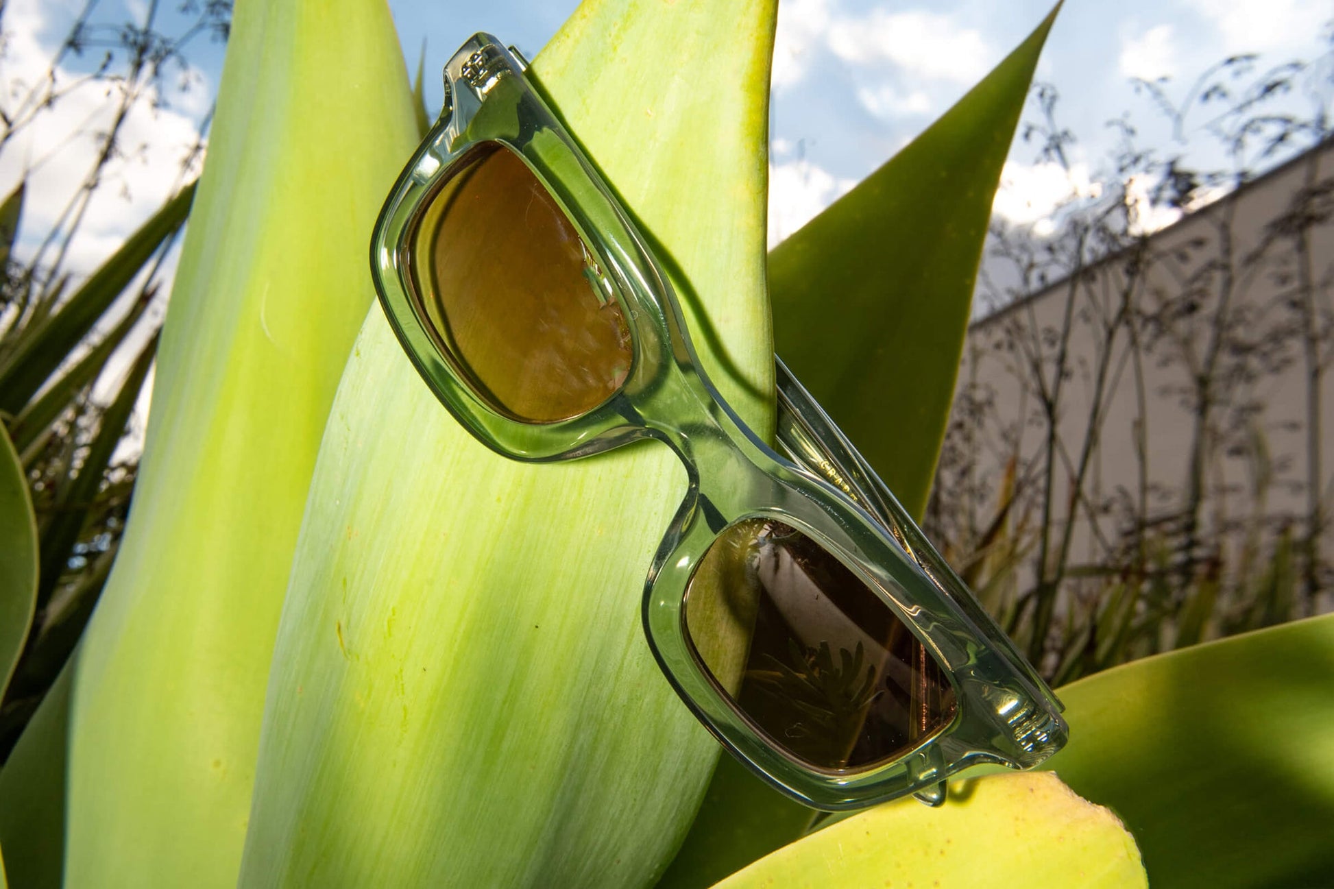 The Anti Matter is a bold, chunky frame that favors medium to large heads. Spring hinges allow for a more accommodating, comfortable fit. Handcrafted bioacetate frames—biodegradable, plant-based, earth-friendlier. Rx-ready.
