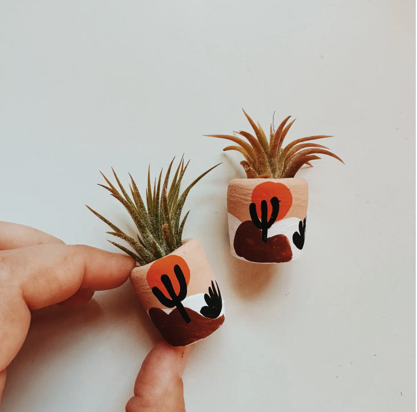 A cute, handmade mini planter made for air plants or succulents. - handmade with concrete & hand painted. Includes airplant.
