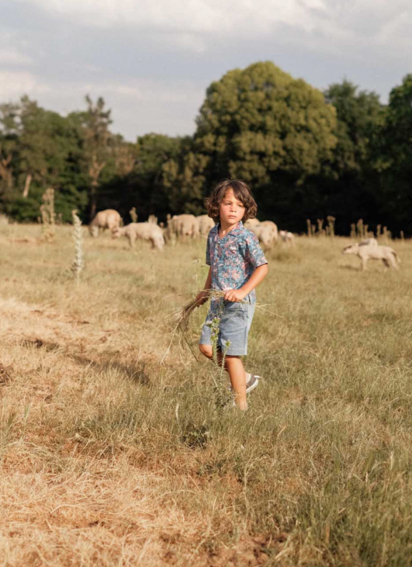 Light denim Bermuda shorts with an elasticized waist and drawstring with two-tone embroidered end. Made with 100% organic cotton. Louise misha obiki shorts in stone blue.