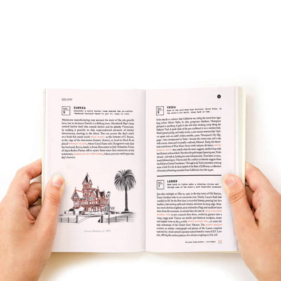 Wildsam Field Guide - Part of the American road trip series, California Road Trip leads travelers and locals alike deep into beautiful backroads of the Golden State. A small army of authors, artists, naturalists, chefs, scientists, surfers and historians will together paint a picture of the real California.