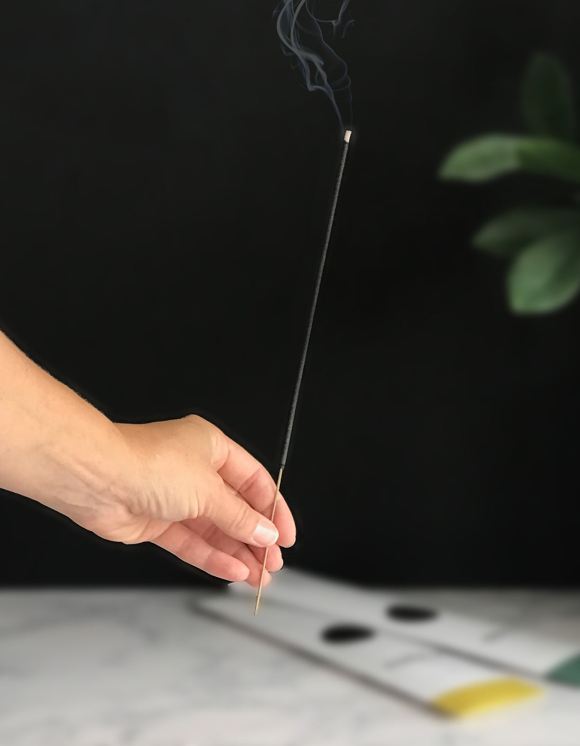 botanica canopy incense. Made with high-quality fragrance blends, plus essential oils for a long, balanced ritualistic experience–sure to make any dwelling feel like a luxurious retreat. Scent notes of teakwood, water lily, and eucalyptus.