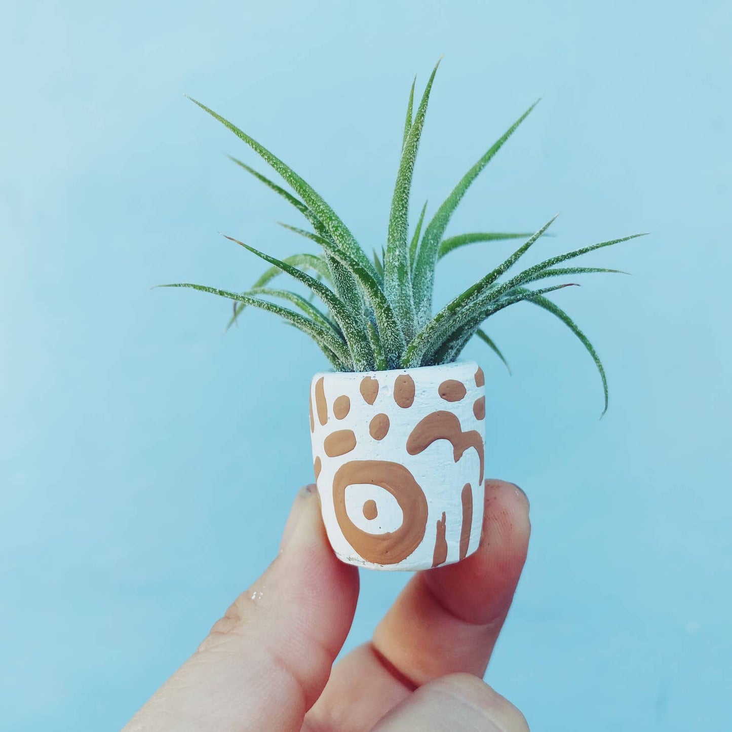 A cute, handmade mini planter made for air plants or succulents. - handmade with concrete & hand painted. Includes airplant. o'berrys succulents