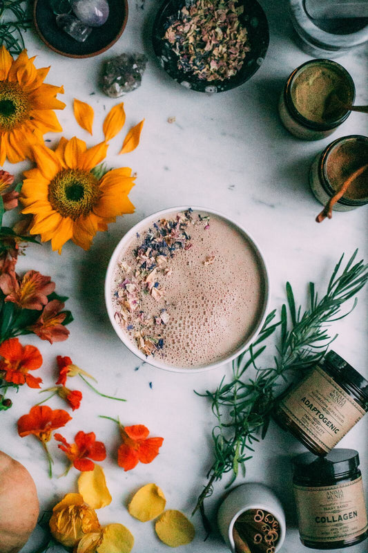 adaptogenic powder / This is one of Anima Mundi's most beloved formulations, combining organic and locally grown Mushroom extract powders with our organic heirloom Cacao. A perfect addition to coffee, tea, smoothies, and more, it contains 25% of the highest grade Cacao, with bioactive cell wall extracted Mushrooms.