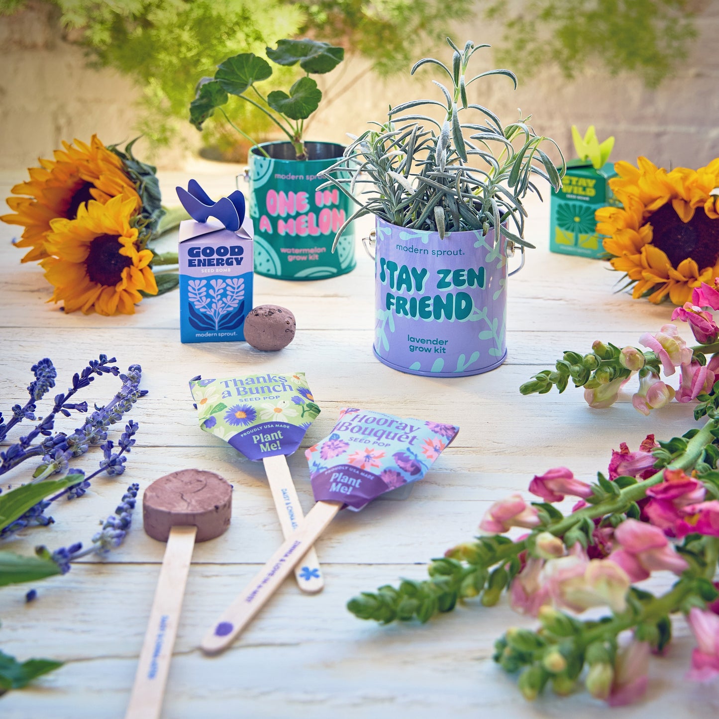 Seed Bombs are a celebratory grab-and-go gift! Simply open, plant, and grow!