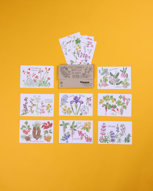 California Native Plants Postcard Set