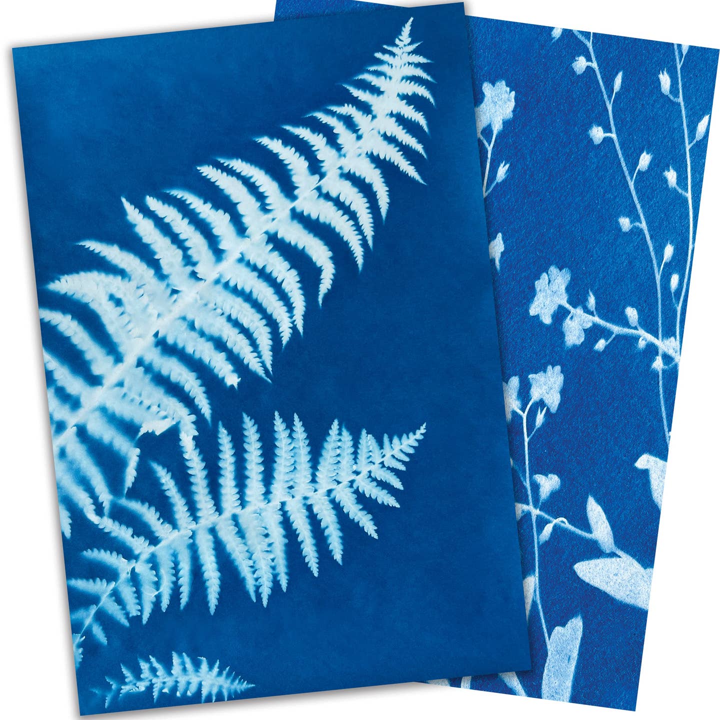 Sunsnap Photo Paper