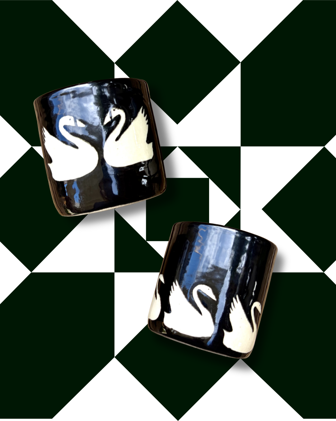 Black & White Swans! Tumbler