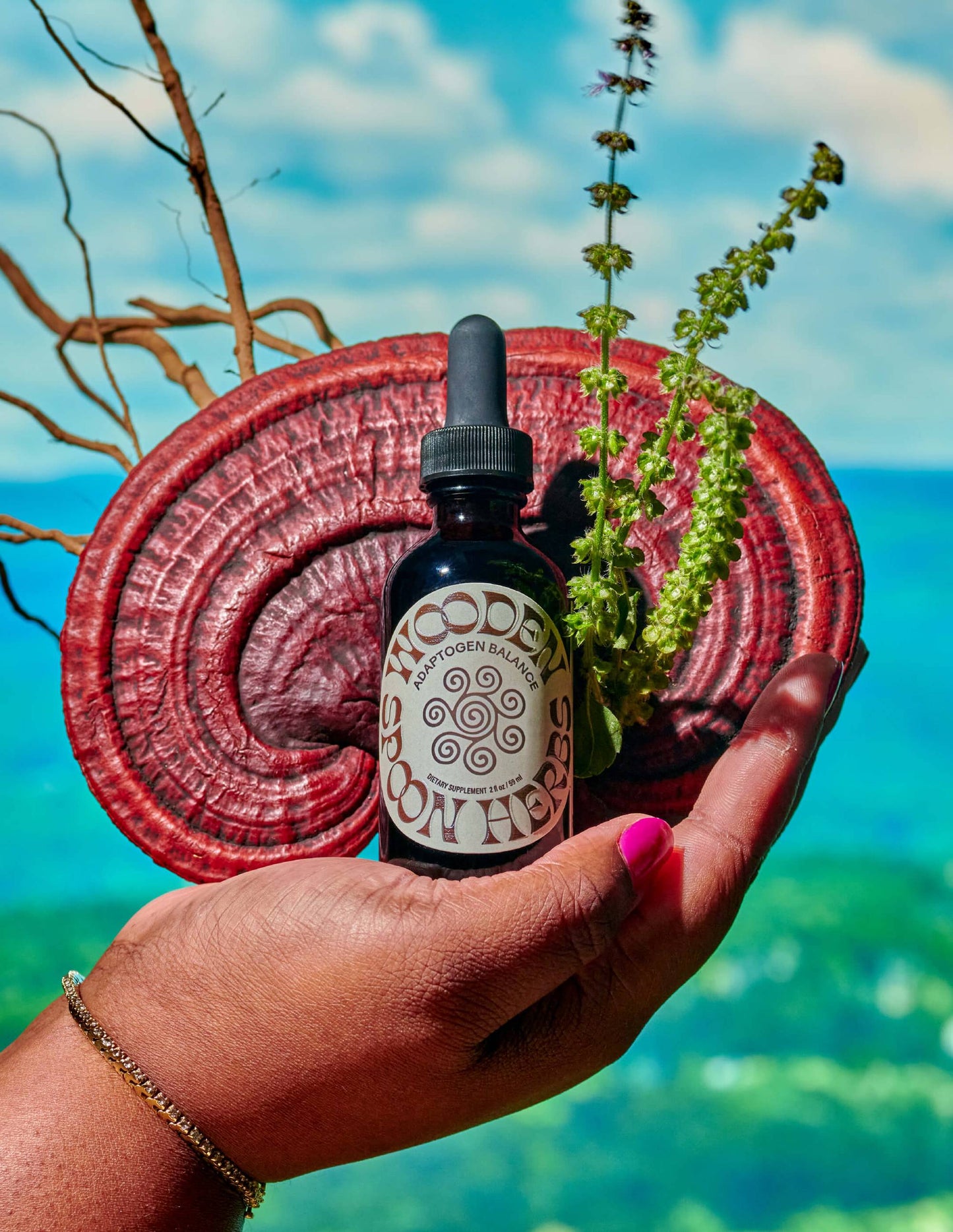 Calms the waves so you can go with the flow. Root yourself with this steadying blend of adaptogenic leaves, roots, mushrooms, and berries. Take daily to support and steady the tides of daily life, or use in a momentary swell of stress. Powered by all organic Reishi, Ashwagandha, Holy Basil & more!