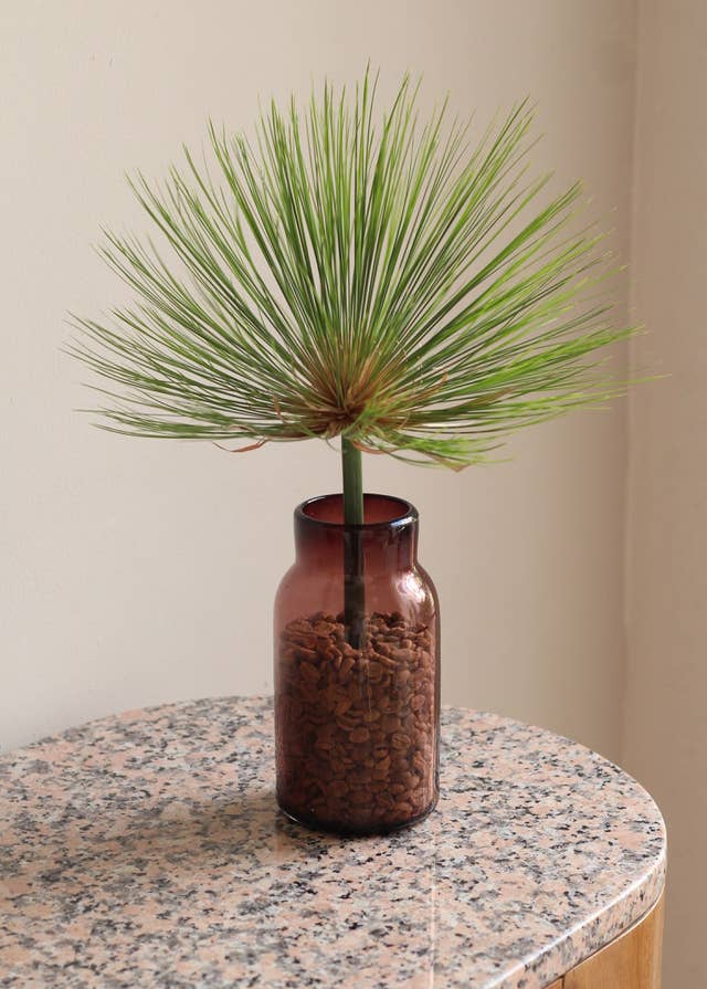 This small, amber glass vase is perfect for adding an earthy feel to your space. Hand blown glass vase made in .