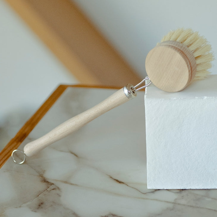 Eco-Friendly Long Handle Dish Brush