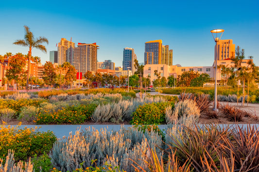 Ethical San Diego Guide Part. 2 // See, Shop & Dine the Thread Spun Way