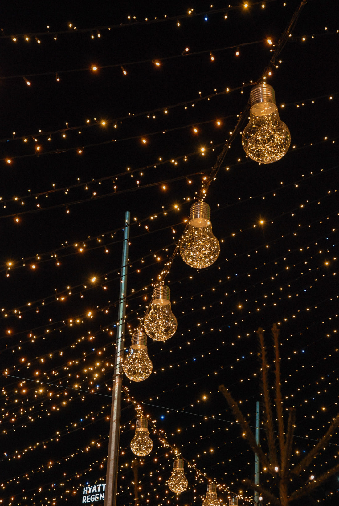 Christmas in sunny San Diego County