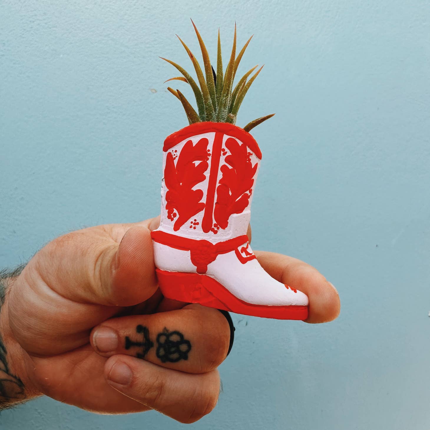 A cute, mini planter made for air plants - handmade with concrete & hand painted. Includes airplant. o'berrys succulents
