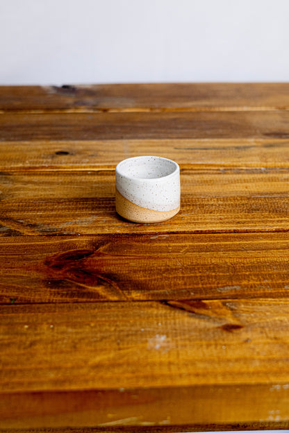 Mini Succulent Planter