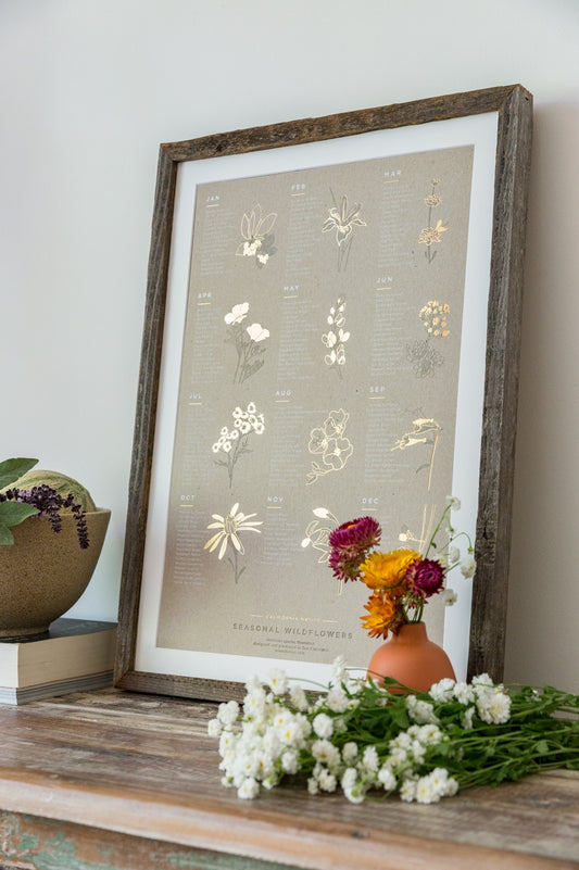 The California Native Wildflower Poster features 150 native species as they bloom each month. The poster features both prolific, common and rare species that are native specifically to the Central Coast and Bay Area. Great reference art that is both elegant and useful for your kitchen, dining room or kids room!