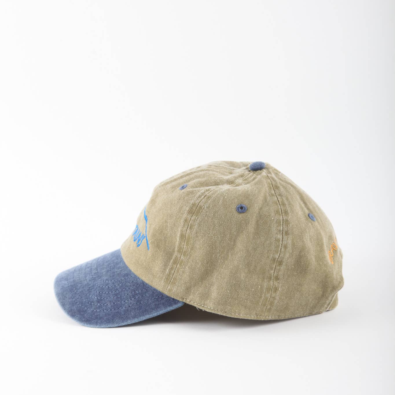 The Mountains Dad Cap