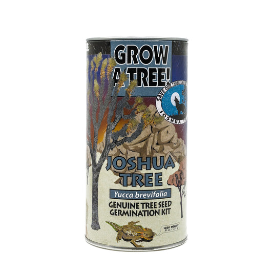 Jonsteens Joshua Tree Seed Grow Kit