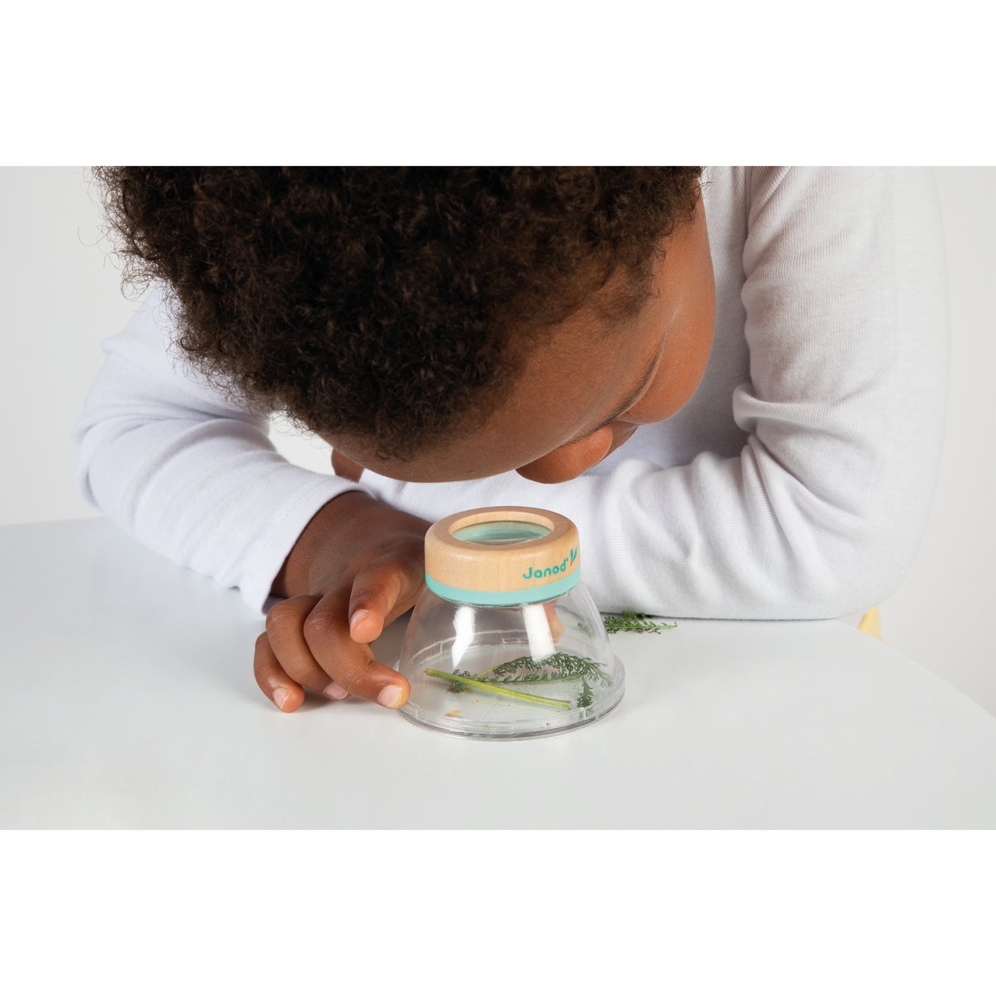 Observation Magnifier Display janod