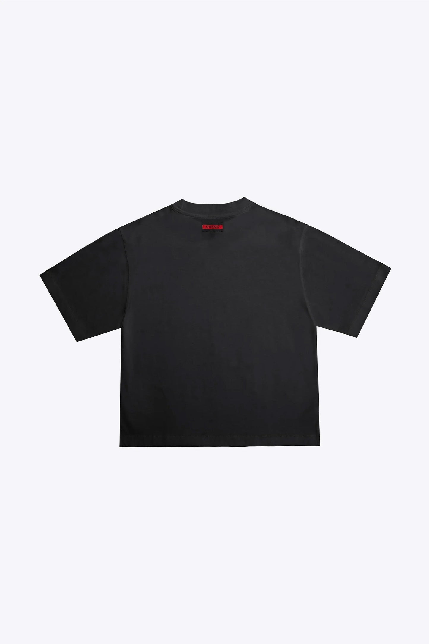 All My Homies Hate ICE Tee