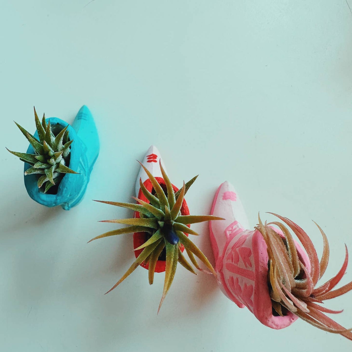 A cute, mini planter made for air plants - handmade with concrete & hand painted. Includes airplant. o'berrys succulents