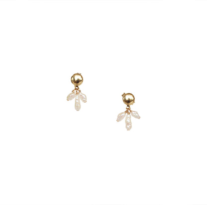 Pavo Earrings