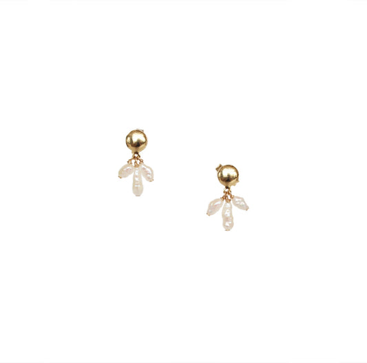Pavo Earrings