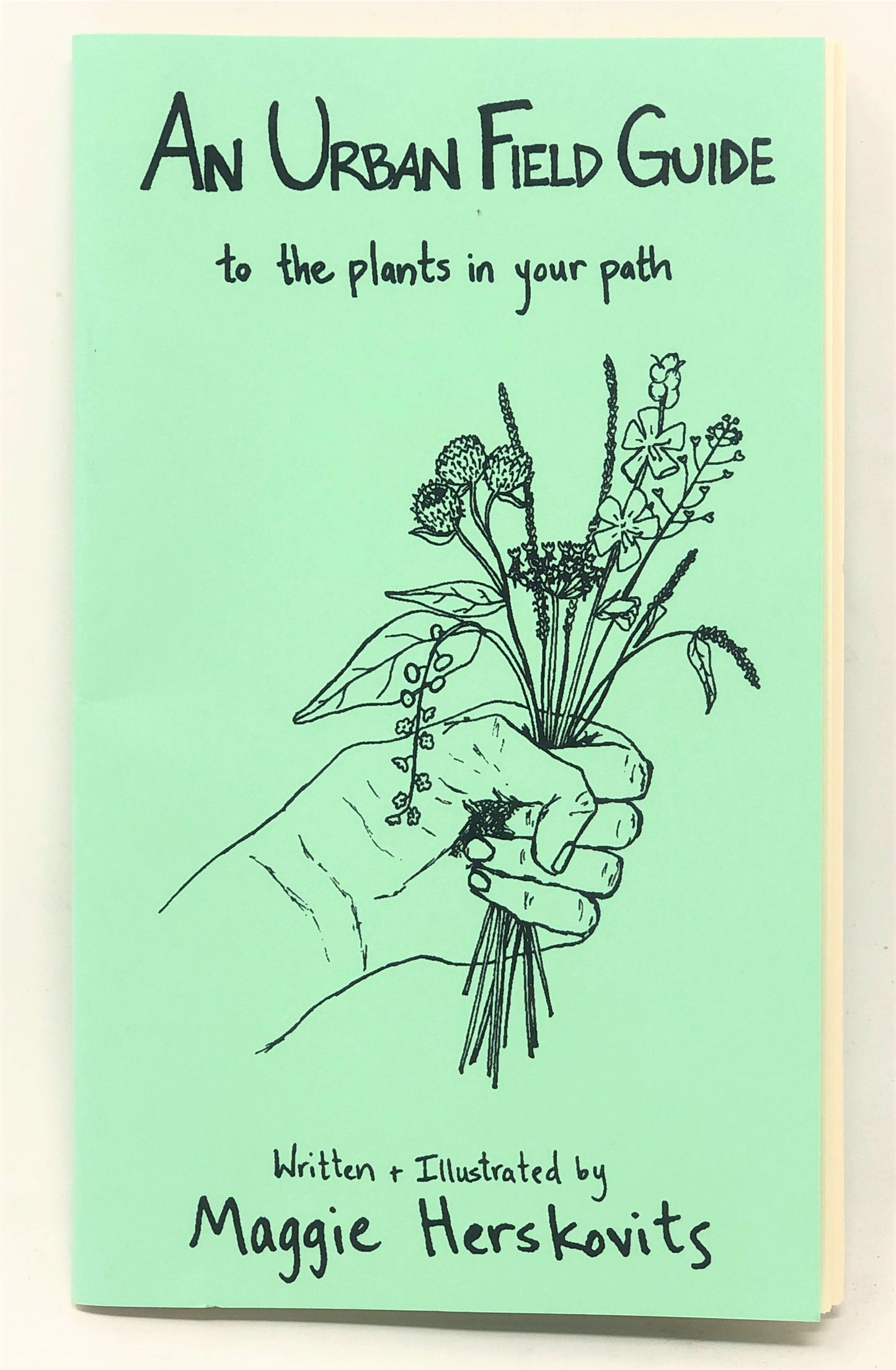 Urban Field Guide to the Plants in Your Path Zine
