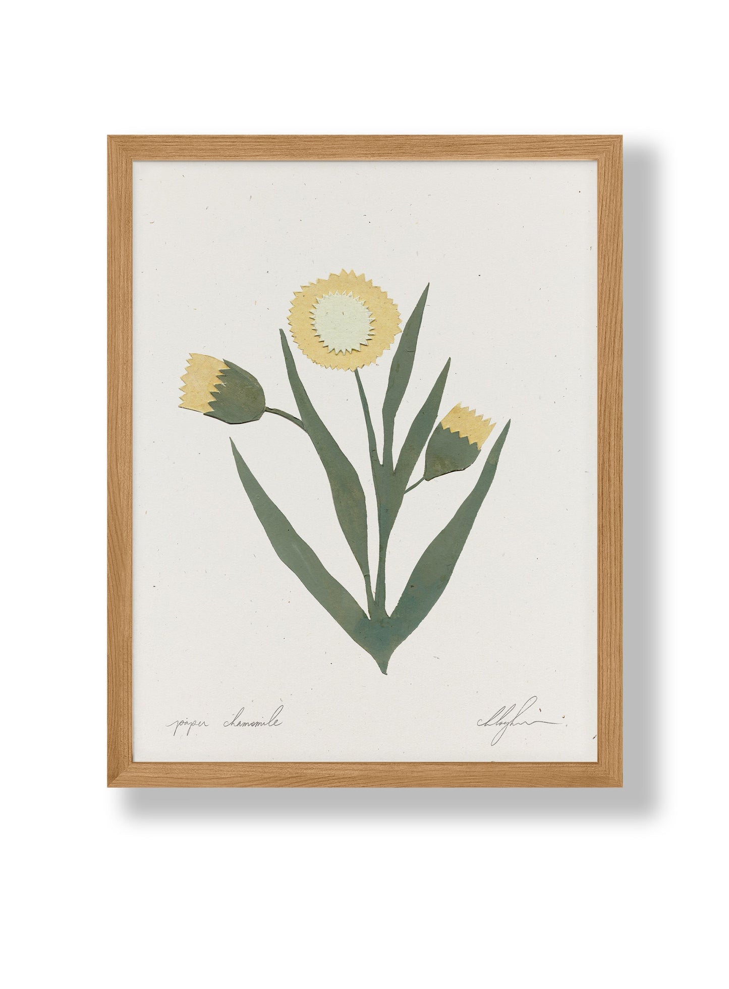 Paper Chamomile by Coco Shalom. Prints are made with 100% recycled paper, containing 30% post consumer waste, produced with 100% green power and 0% BS.