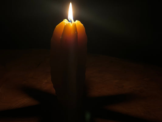 Beeswax Cactus Candle