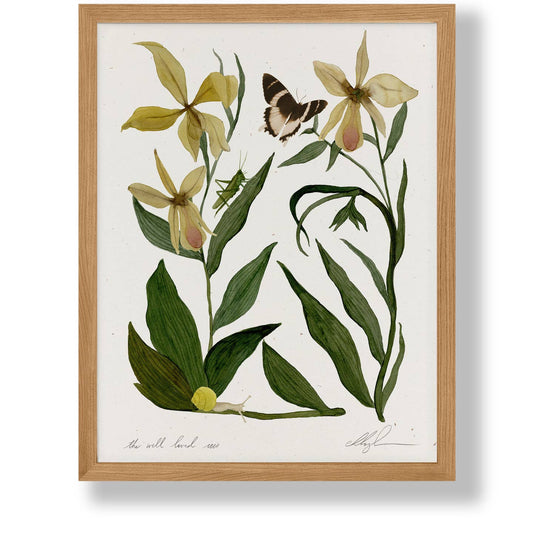 The Well Loved Iris Print Coco Shalom