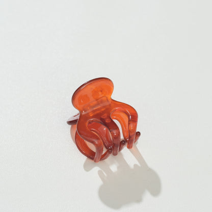 Cinnamon Spice Mini Claw Clip