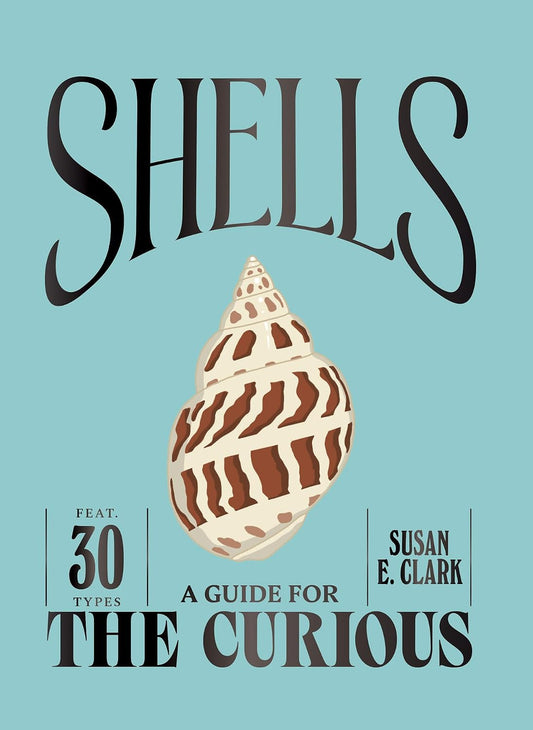 Shells: A Guide For the Curious