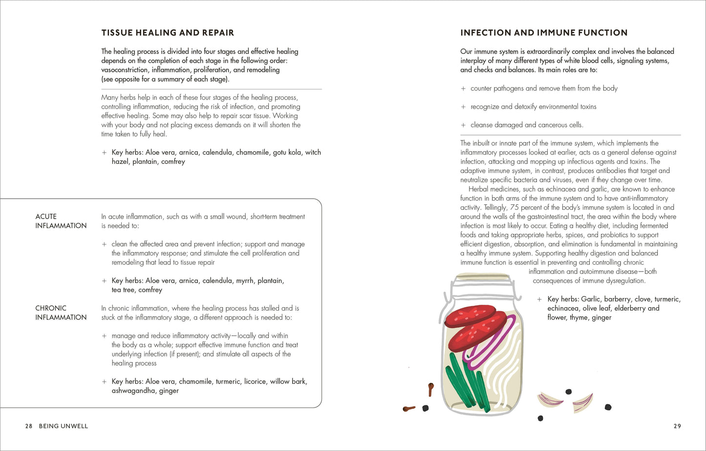 The Home Herbal: Restorative Herbal Remedies for the Mind, Body, and Soul
