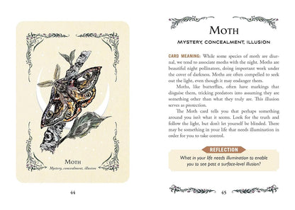 The Green Witch's Oracle Deck: Embrace the Wisdom & Insight of Natural Magic