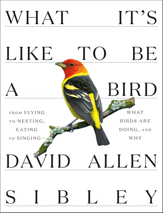 What It's Like to Be a Bird: From Flying to Nesting, Eating to Singing - What Birds Are Doing, and Why