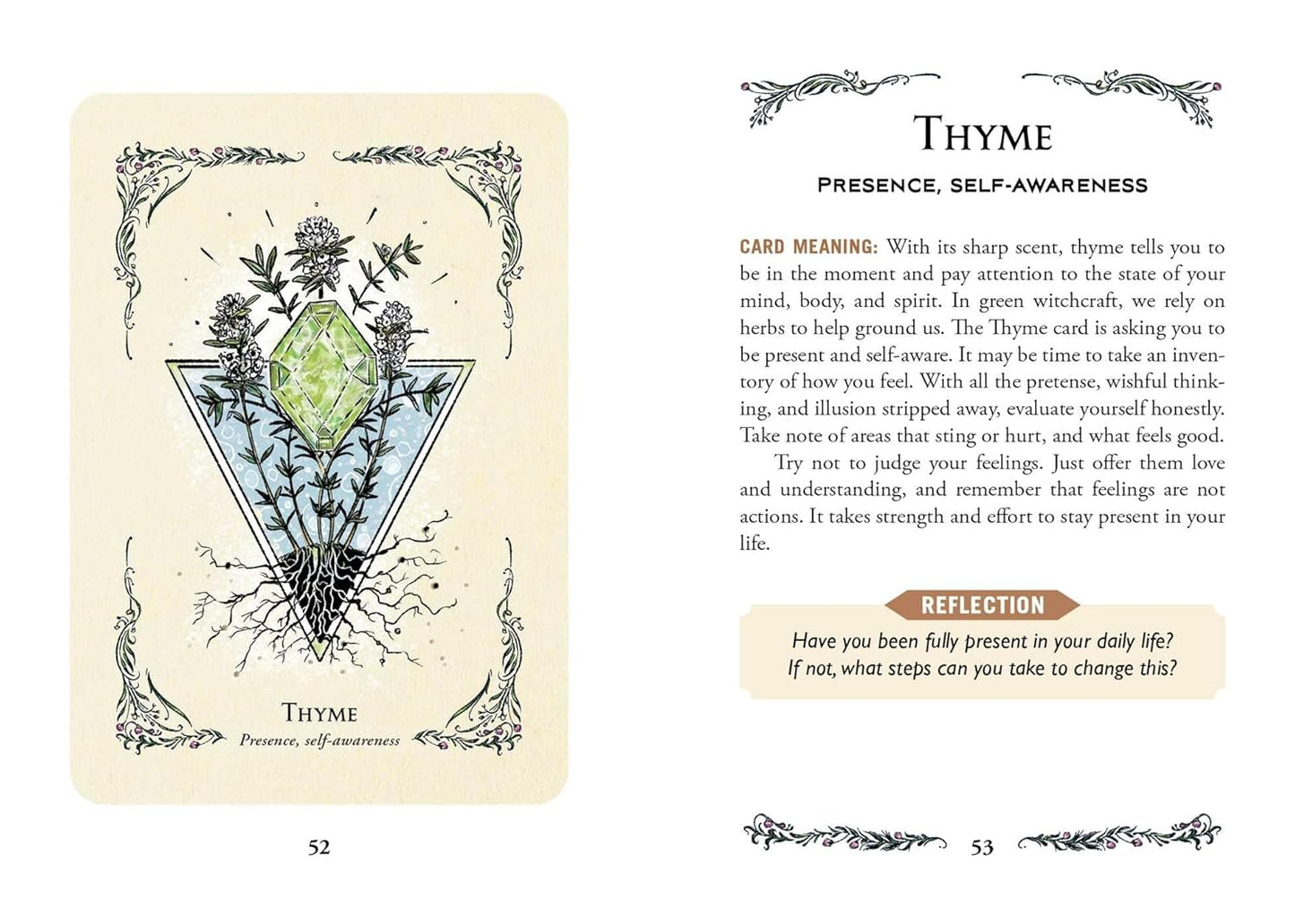 The Green Witch's Oracle Deck: Embrace the Wisdom & Insight of Natural Magic