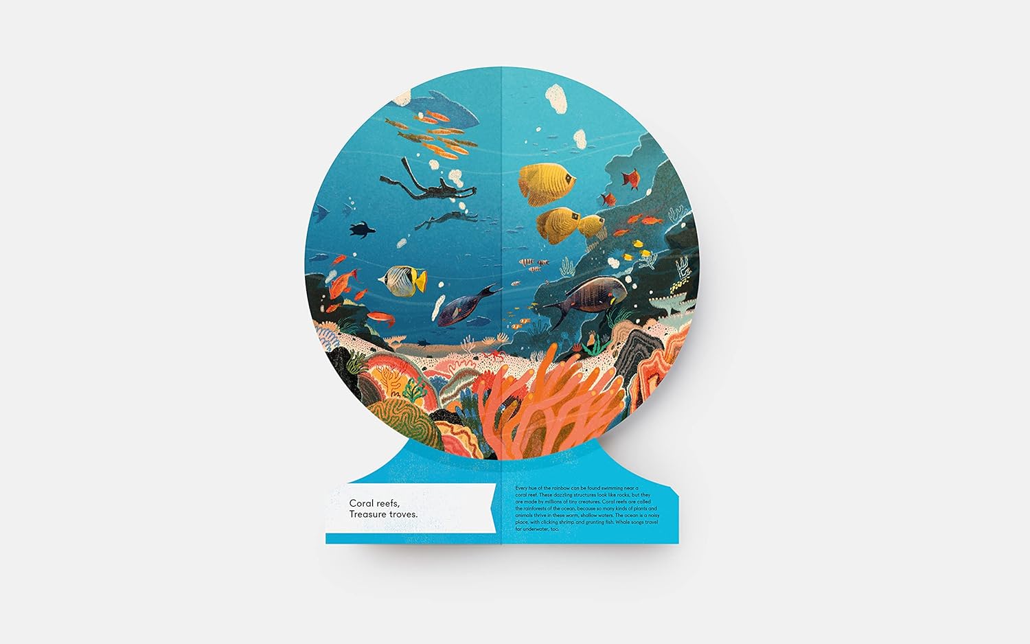 Our Underwater World: A First Dive into Oceans, Lakes, and Rivers by Phaidon Press