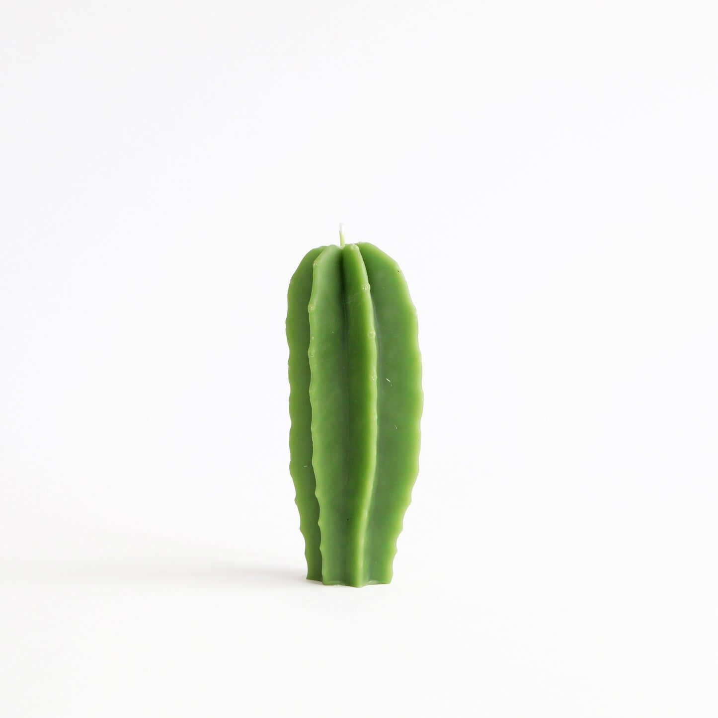 Beeswax Cactus Candle